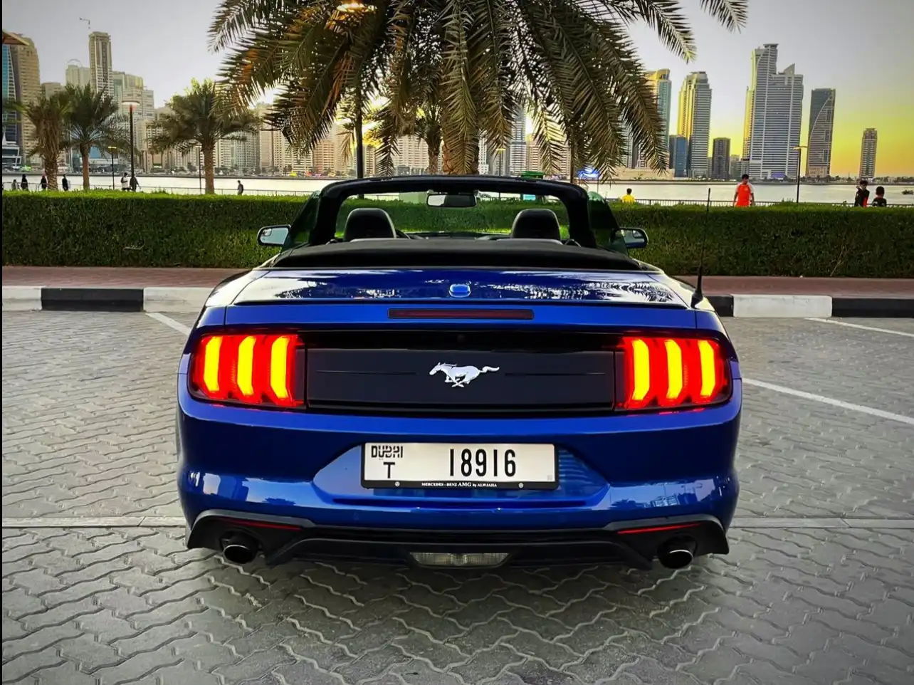 Mustang Convertible