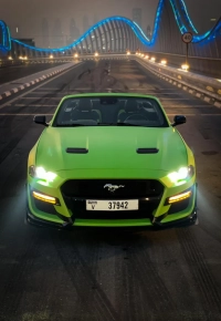 MUSTANG 2022